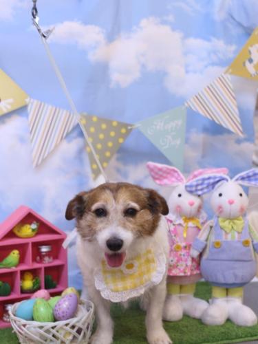 20240305こはるちゃん